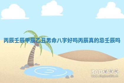 🛀 丙辰壬辰甲辰乙丑男命八字好吗 丙辰真 🚽 的忌壬辰吗