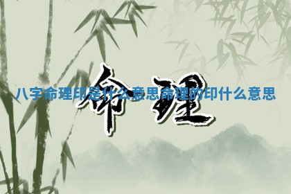 八字命理印是什么意思 📰 命理的 🈲 印什么意思