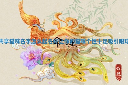 共享猫 🏈 咪名字怎么起名好 让你的猫咪个 🥐 性十足吸引眼球