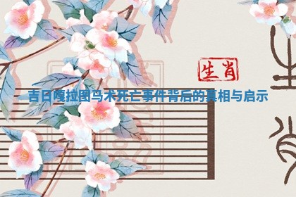 吉日嘎拉图马术死亡事件背后的真 🎁 相与启 ⛲ 示