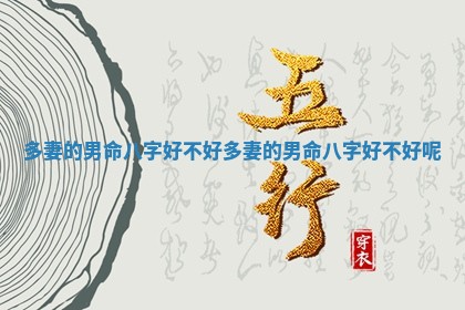 多妻的男命八字好 💛 不好_多妻的男命八字好不 👖 好呢