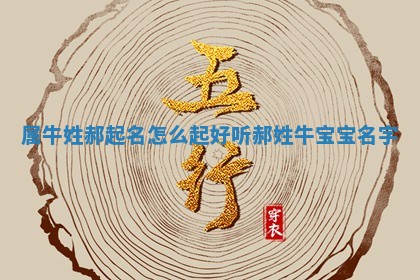 属牛姓郝起名怎么起好听 郝姓 🌝 牛宝 📄 宝名字