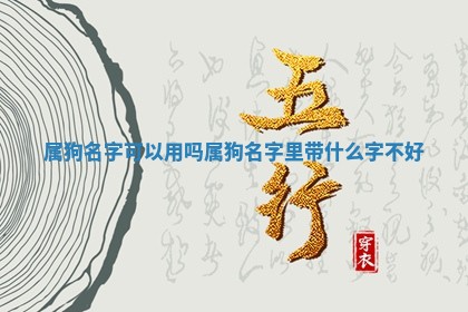 属狗名字可以 🧐 用吗 属狗名字里带什么 👑 字不好