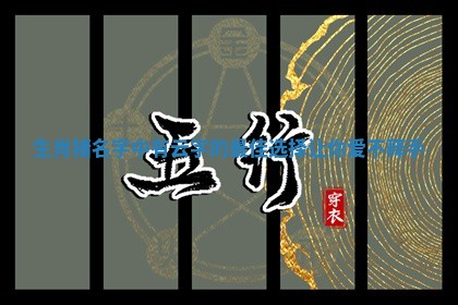 生肖猪名字 🈳 中有云字的最佳选择让你爱 🎉 不释手