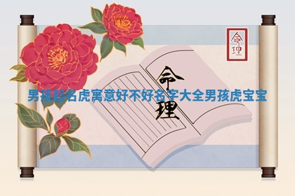 男孩起名 🦗 虎寓意好不好_名字大全男 🥏 孩虎宝宝