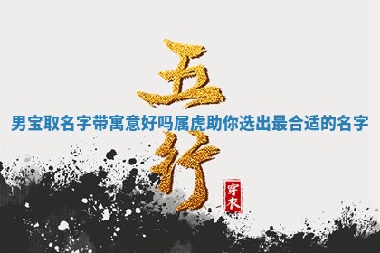 男宝取名字带寓 🆖 意好吗属虎助你选出最合适的名字 💌