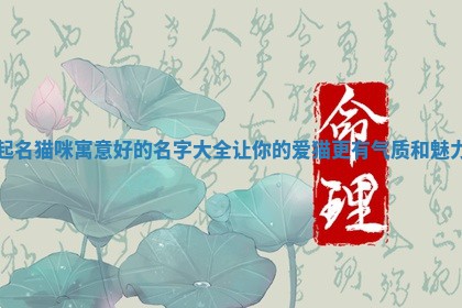 起名猫咪寓 🛥 意好的名字大全 👕 让你的爱猫更有气质和魅力