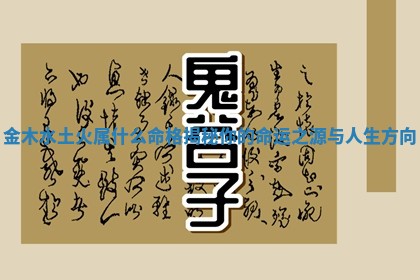 金木水土火属什么命格揭秘你 🌒 的命 😦 运之源与人生方向