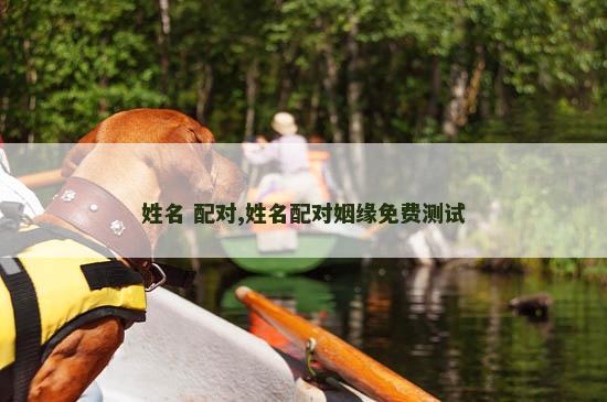 姓名 配对,姓名配对姻缘免费测试